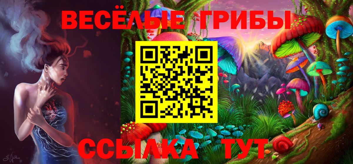где можно купить наркотик  Вход с VPN  Нижневартовск  Галлюциногенные грибы MAGIC MUSHROOMS 